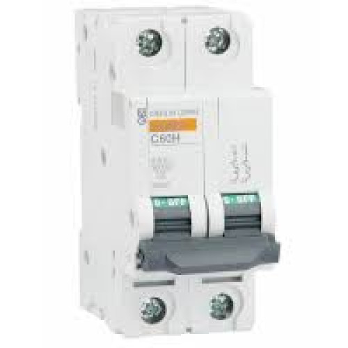 Schneider Electric C60HD220 D 20A DP MCB