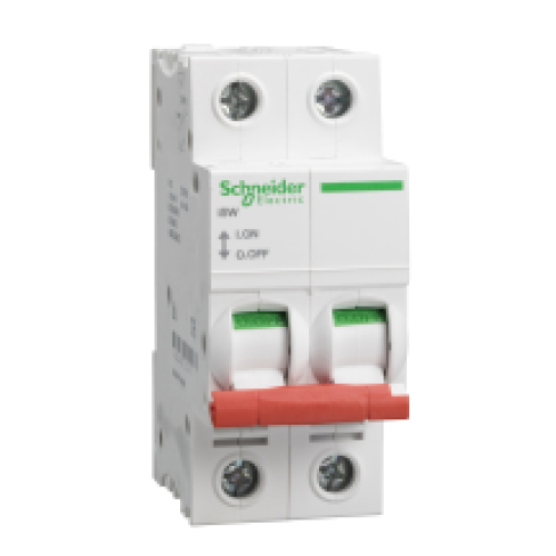 Schneider SEA91252 Switch Disconnector 125A DP
